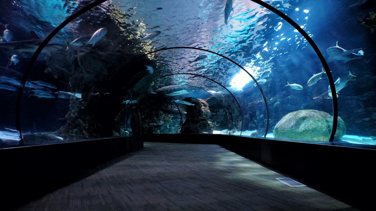 Spend the day exploring wildlife and marine life together, sparking wonder and plenty of conversation.