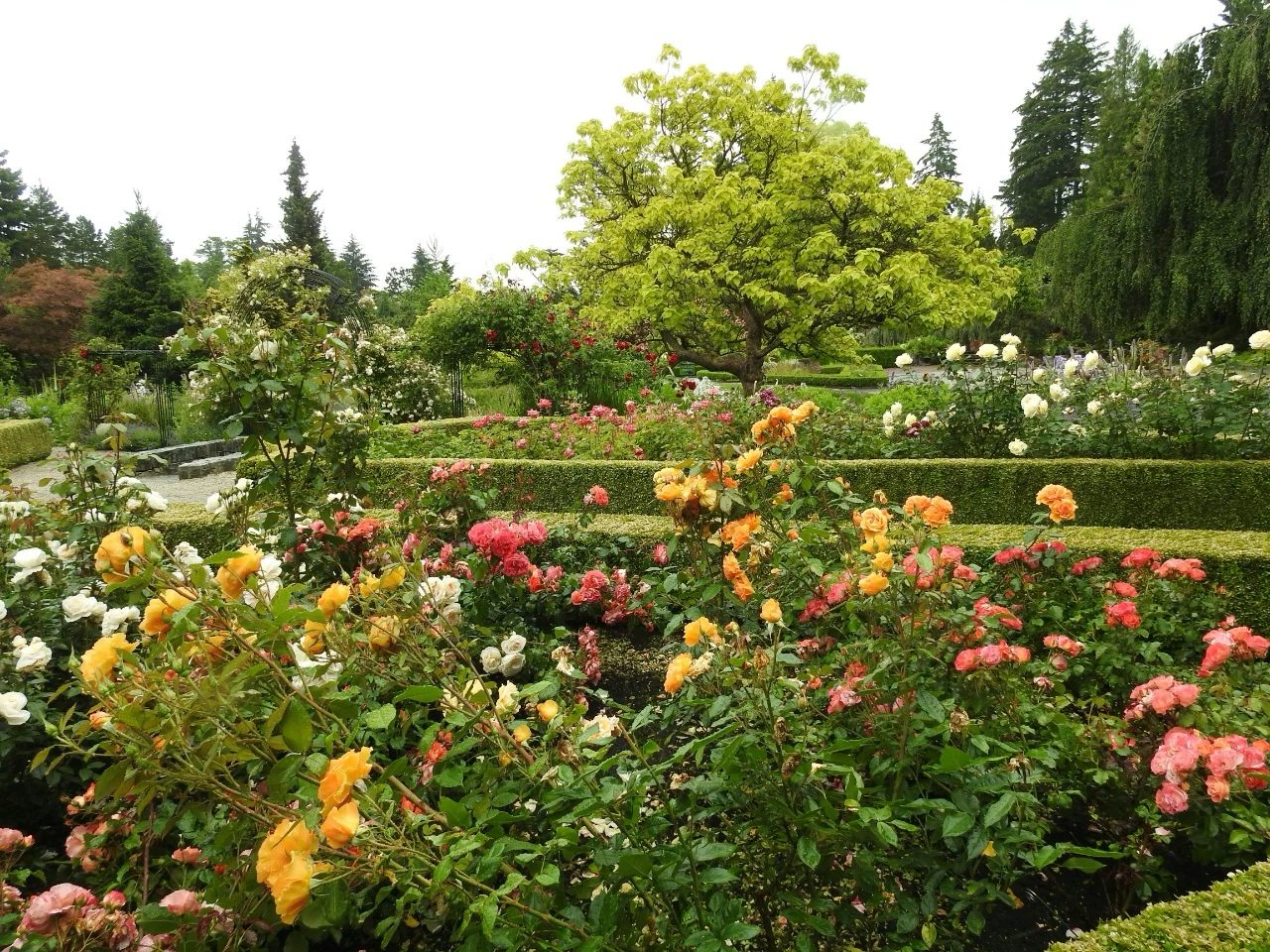 Picnic in a Botanical Garden