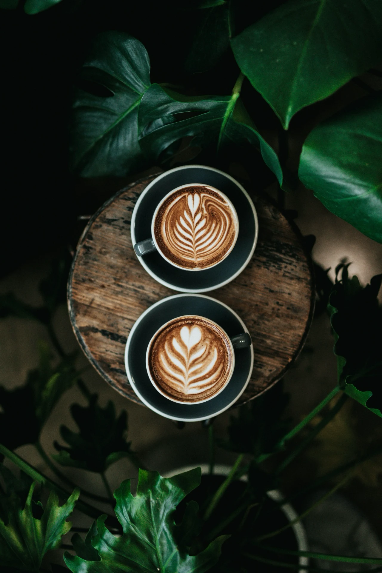 Pick a trendy neighborhood and try a coffee or tea from two different local shops, finding a good spot to people-watch and chat.