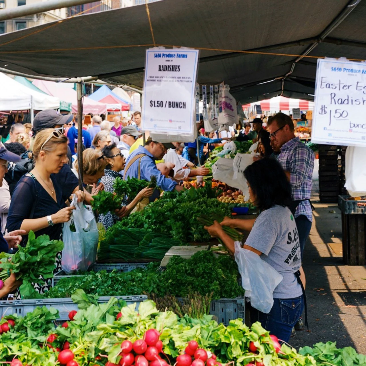 Visit a local farmers market, pick out fresh seasonal ingredients, and then go home to cook a meal inspired by your finds.