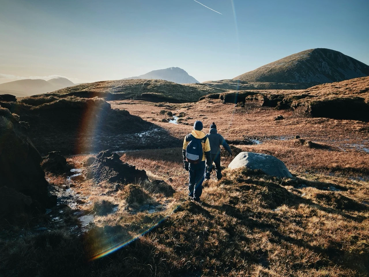 Bring your phones or cameras and challenge each other to capture the most interesting natural elements, textures, or light.