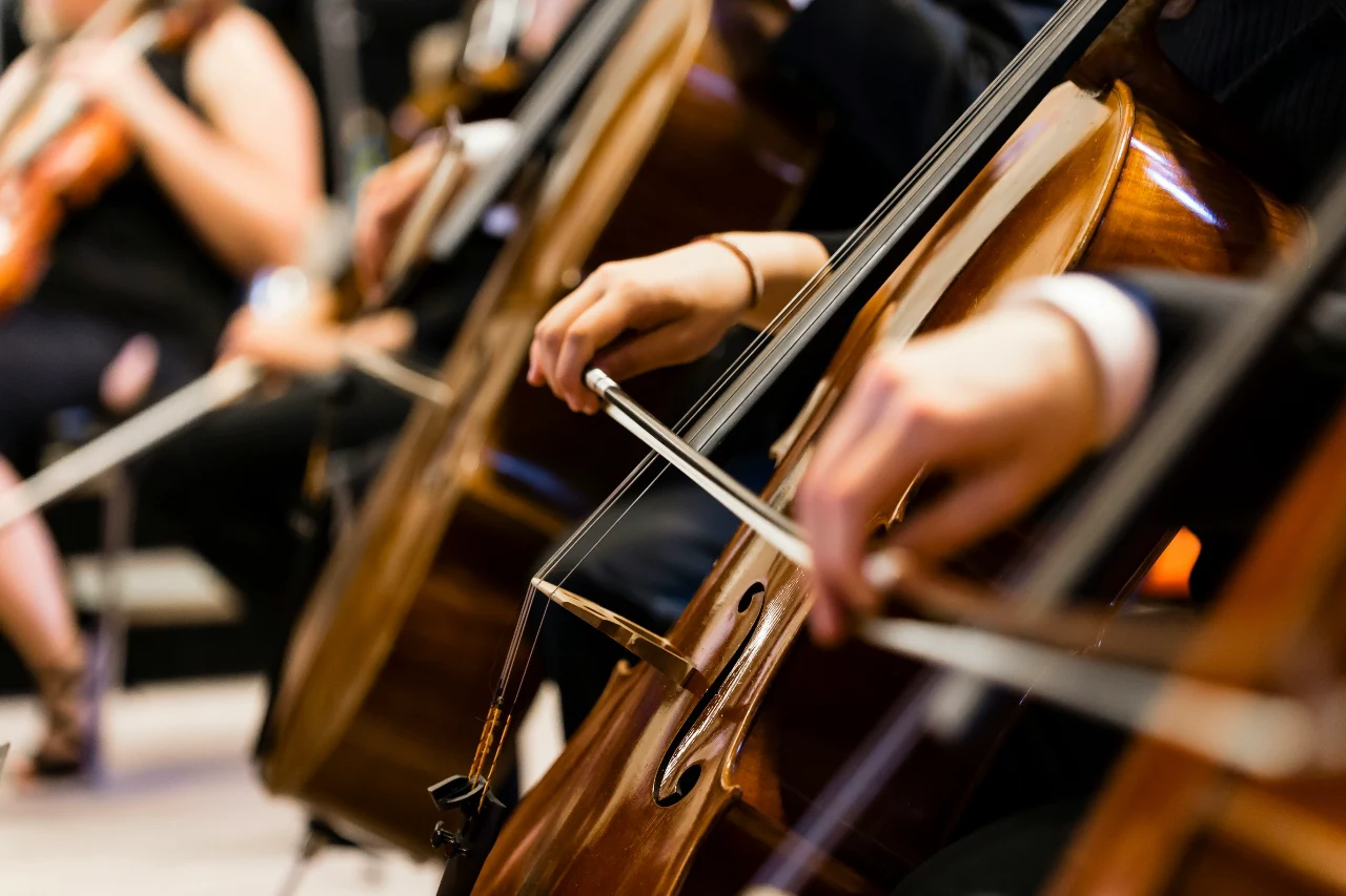 Attend a symphony orchestra performance, opera, or chamber music concert for an evening of refined culture.