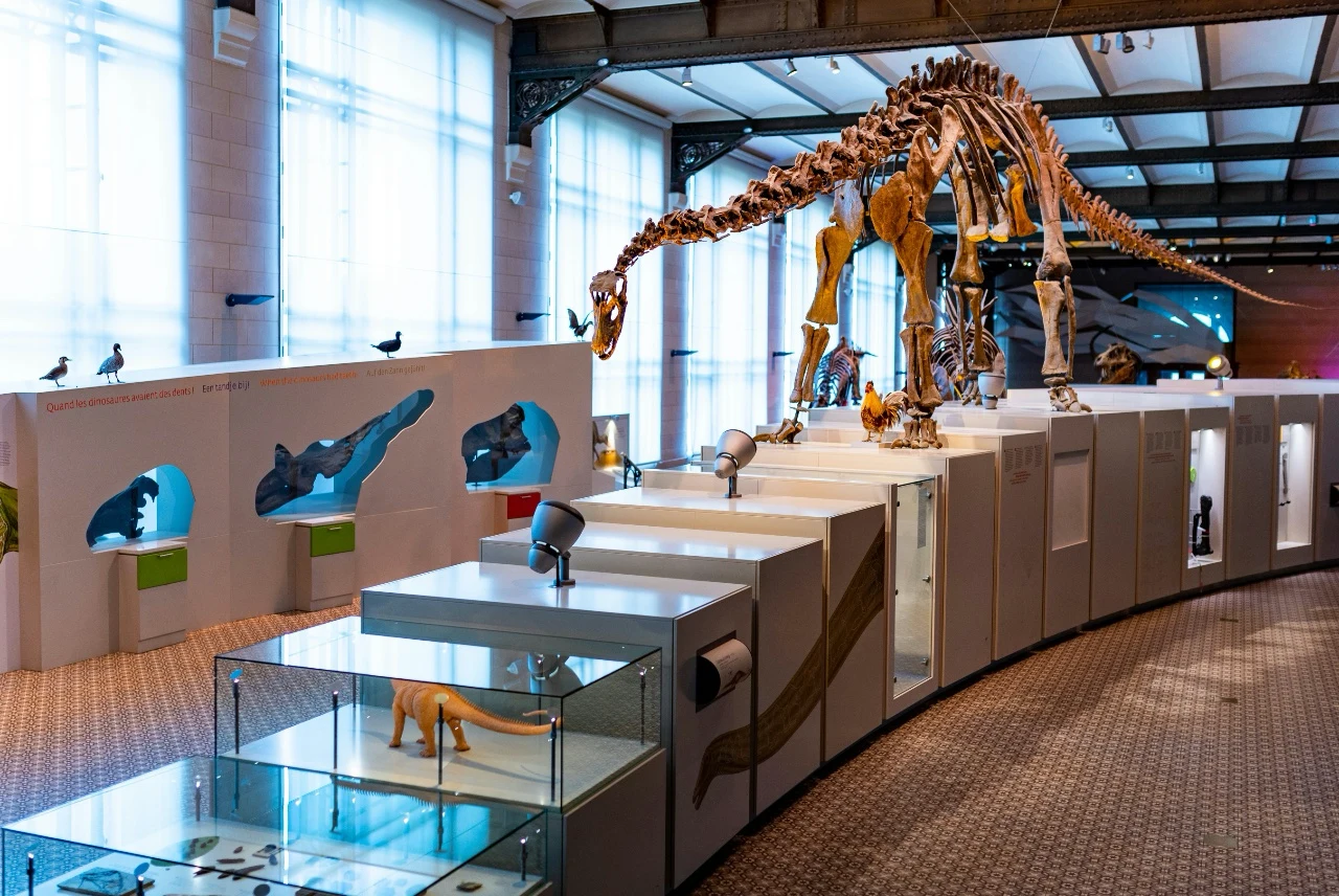 Explore a local history, science, or natural history museum — there's always something new to discover and debate.