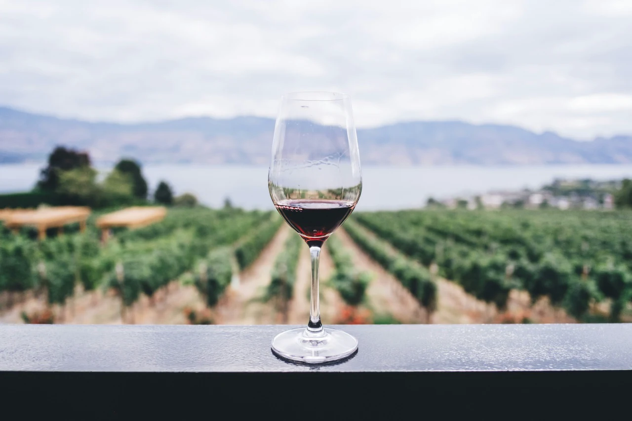 Spend a day exploring local vineyards or breweries, tasting your way through the day and ending with a special celebratory meal.