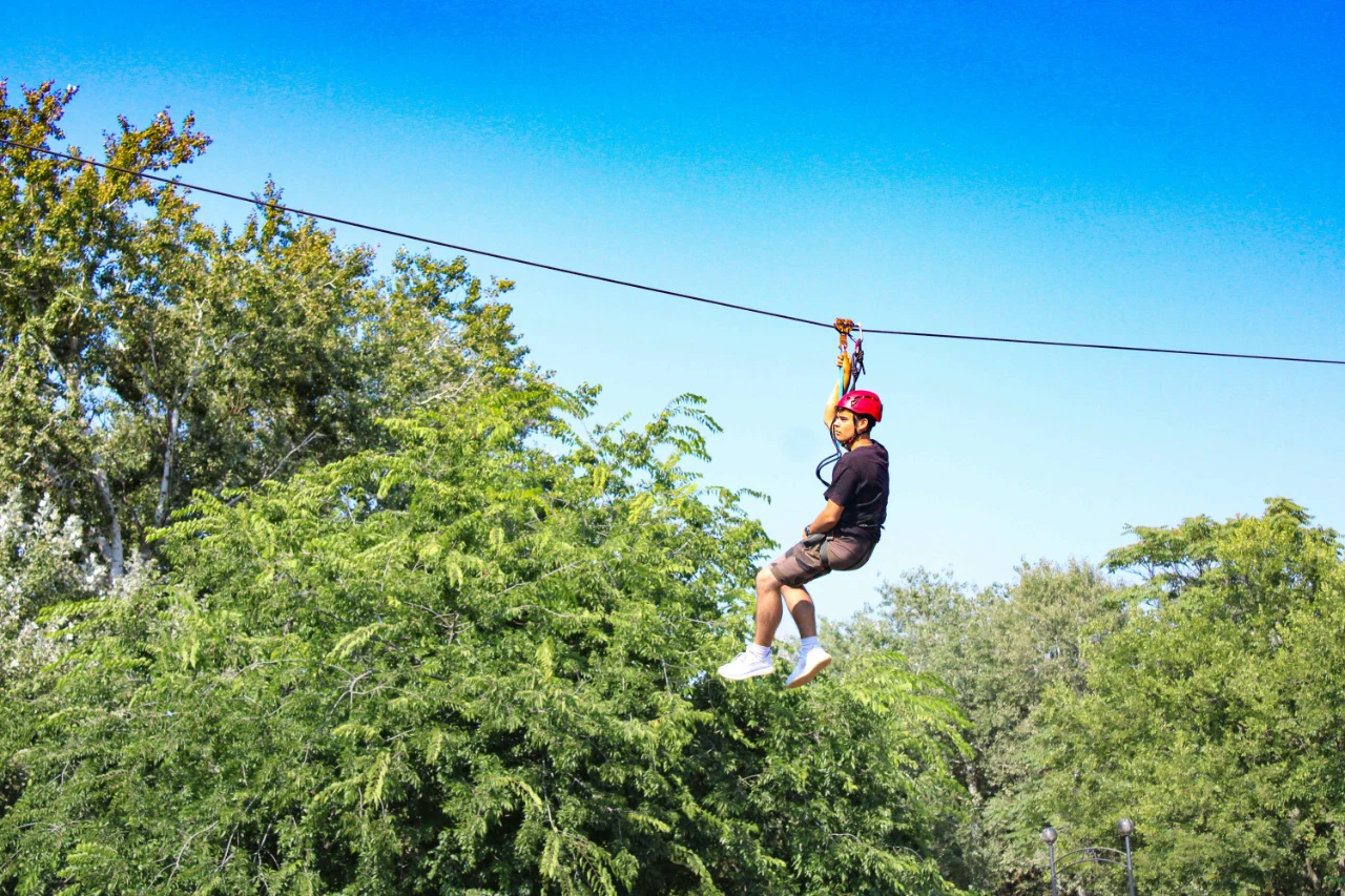 Soar through the trees or over scenic landscapes for an exhilarating rush — screaming optional but encouraged.